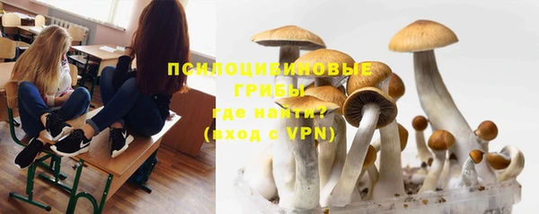 марки lsd Дмитров
