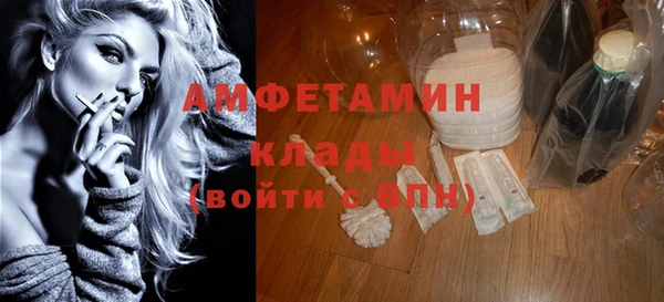ГАЛЛЮЦИНОГЕННЫЕ ГРИБЫ Ельня